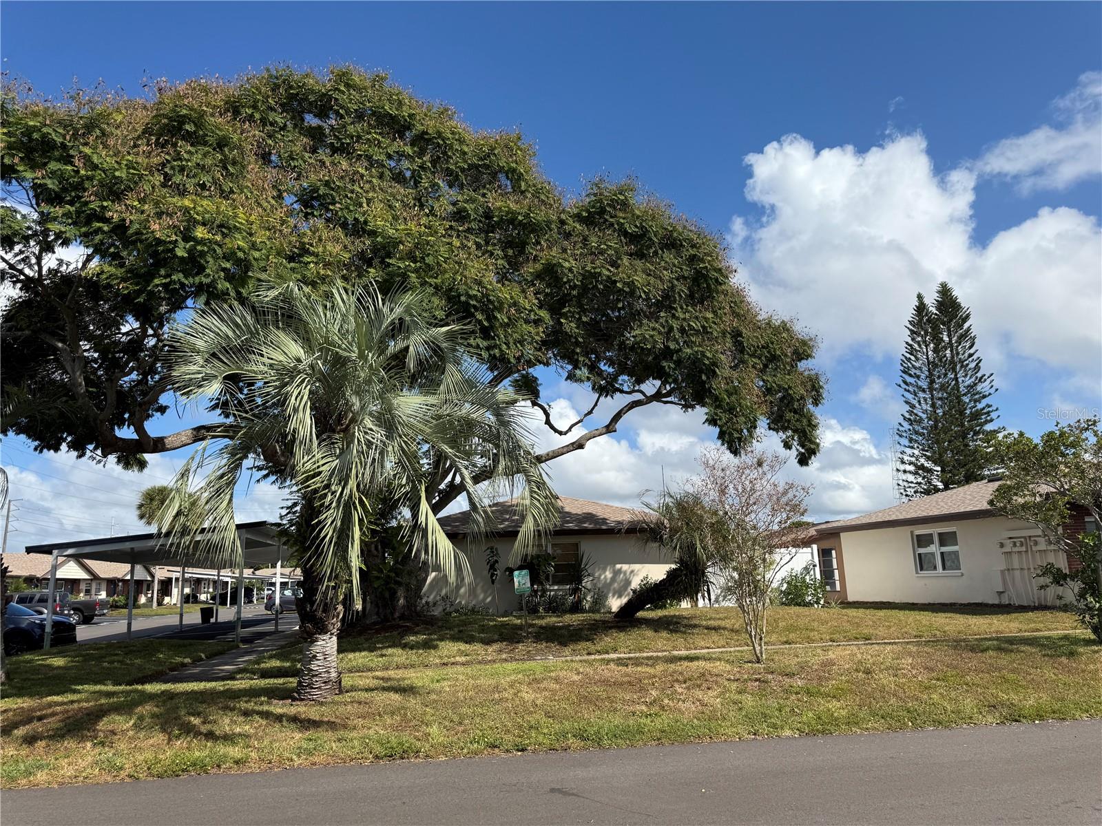 24862 Us Highway 19, FL