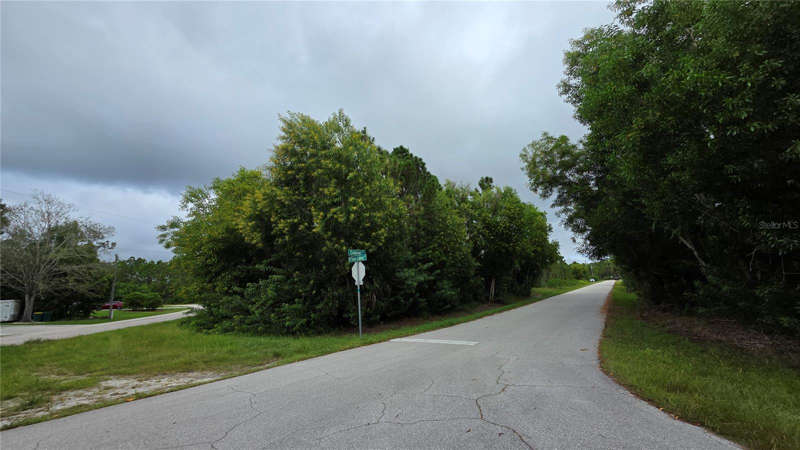 12339 Cognac Drive, FL