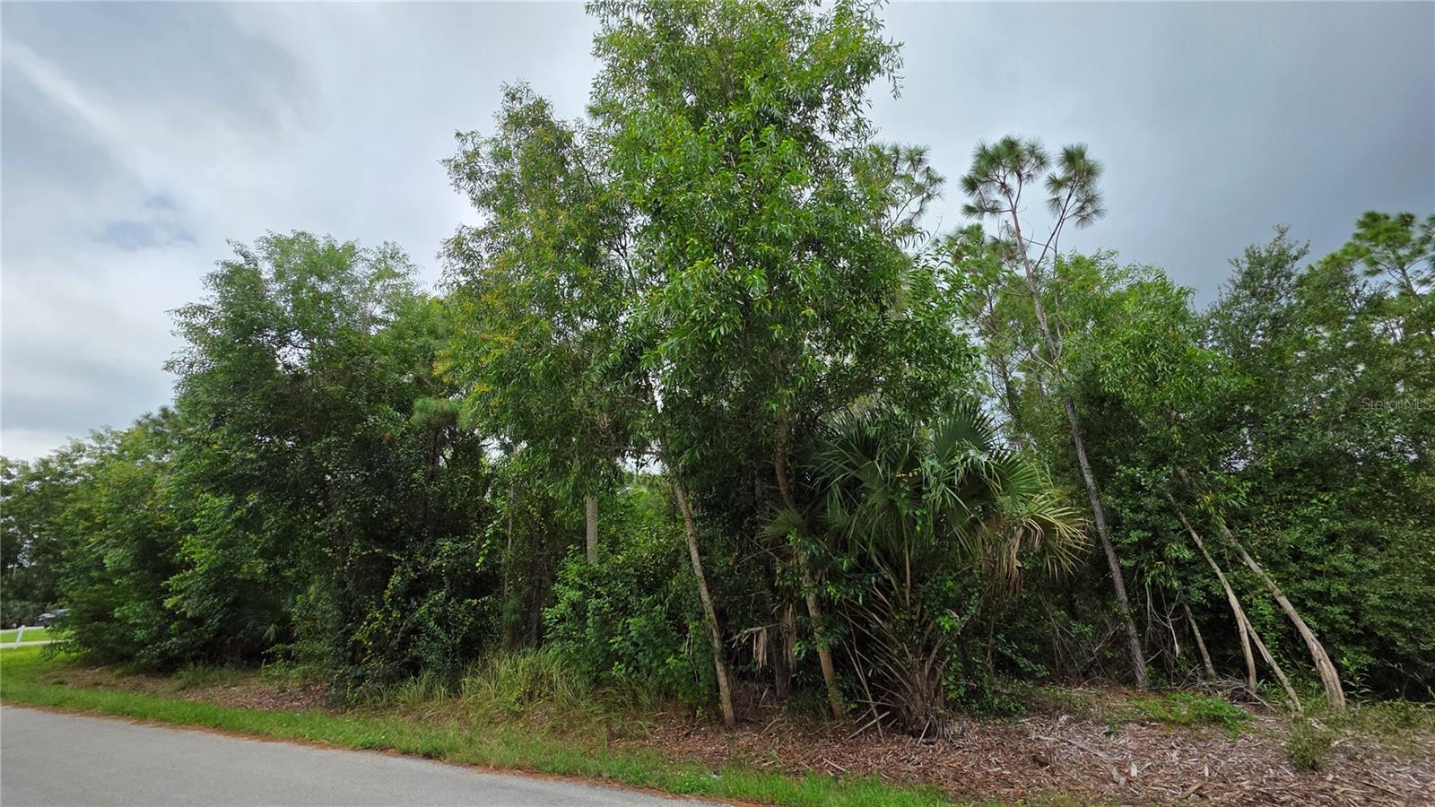 12339 Cognac Drive, FL
