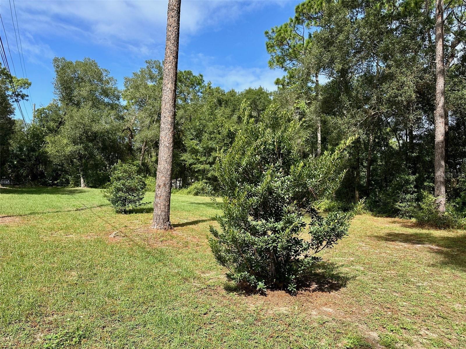 Thompson Road, FL