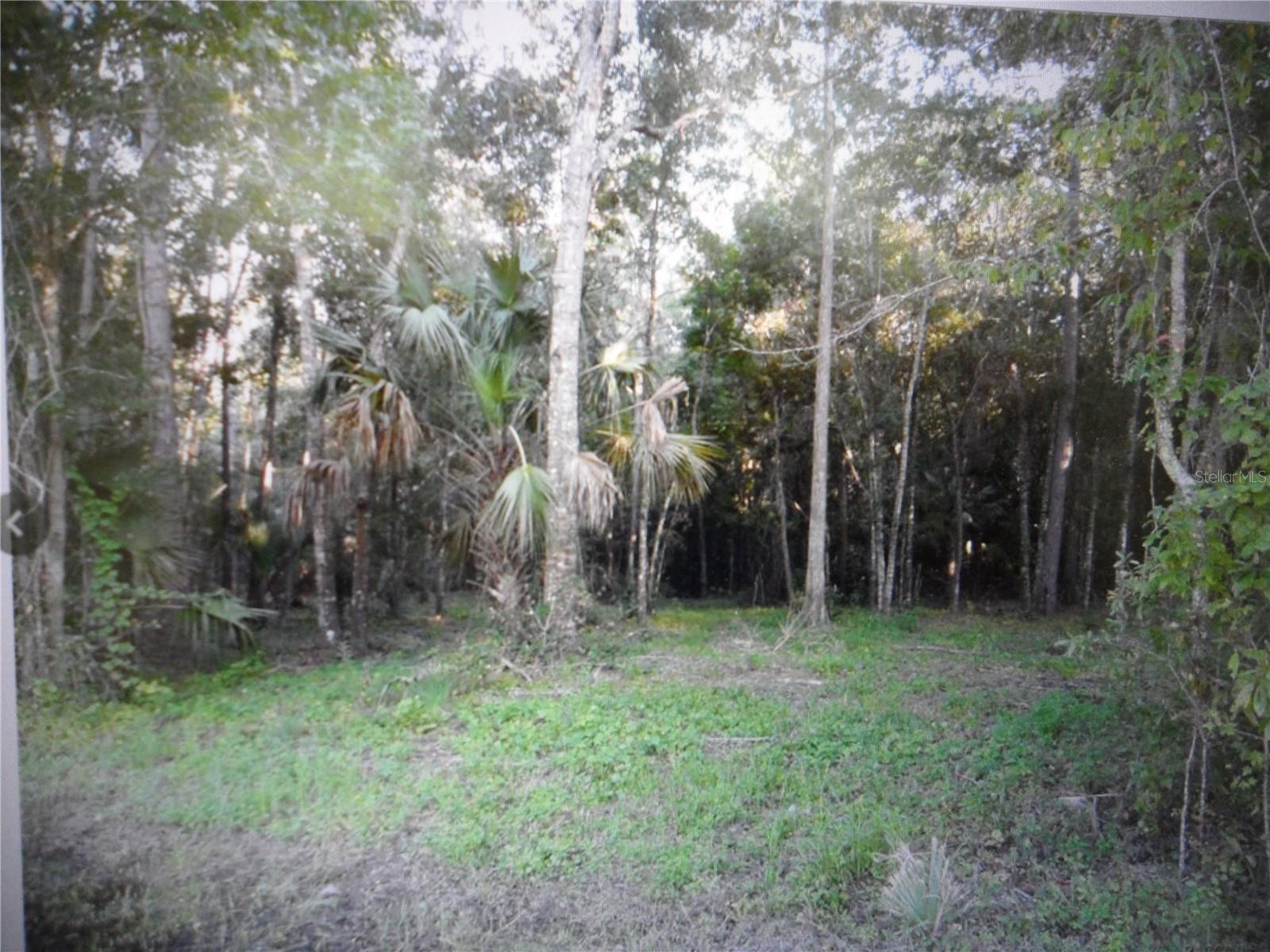8330 & 8298 Grover Cleveland Boulevard, FL