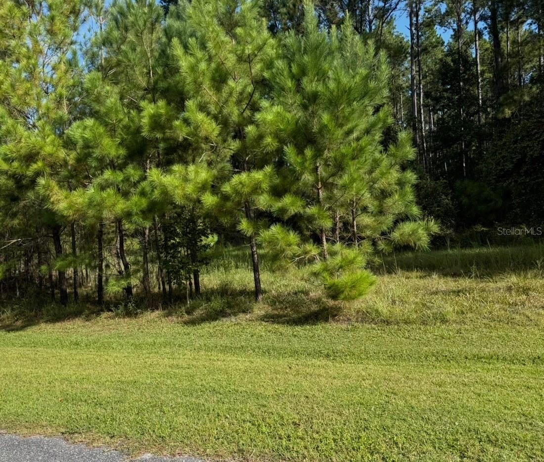 148th Lane, FL