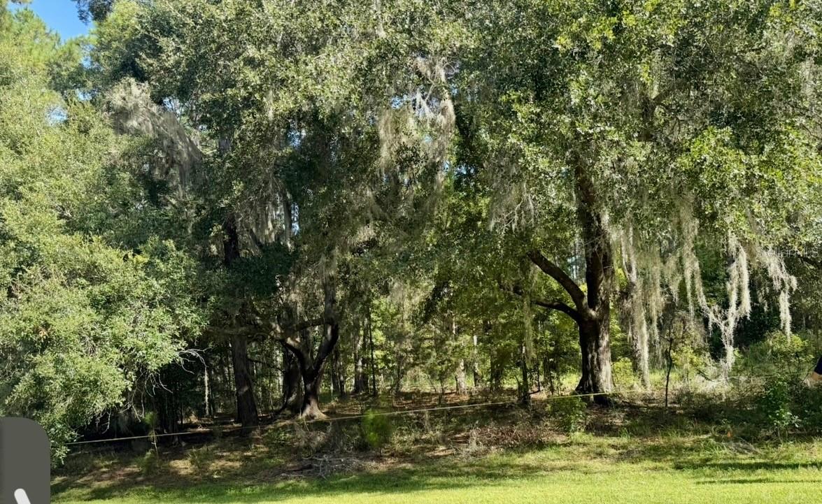 148th Lane, FL