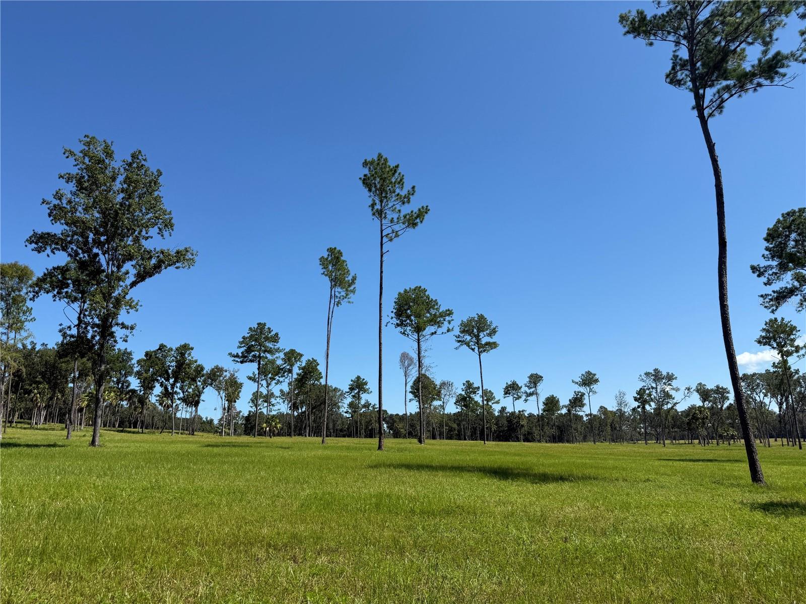Dr #5 (24ac) 193rd St, FL