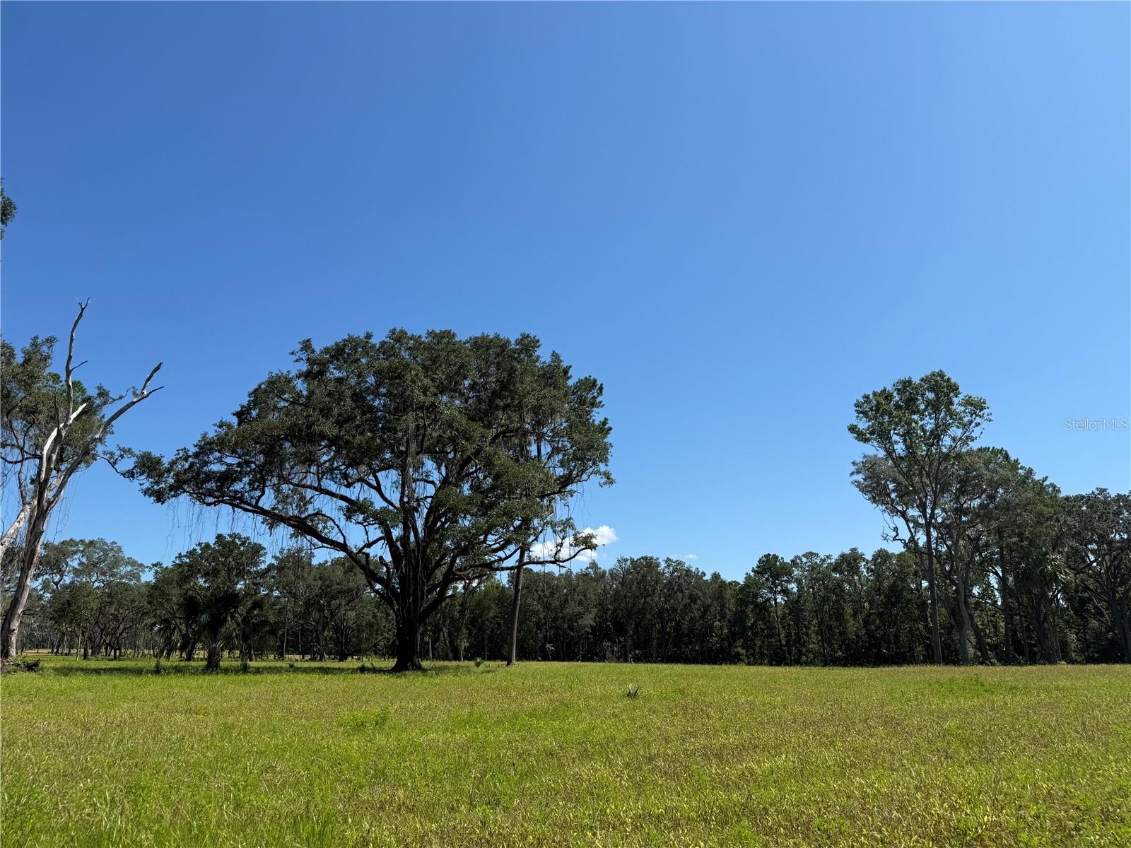 Dr #5 (24ac) 193rd St, FL