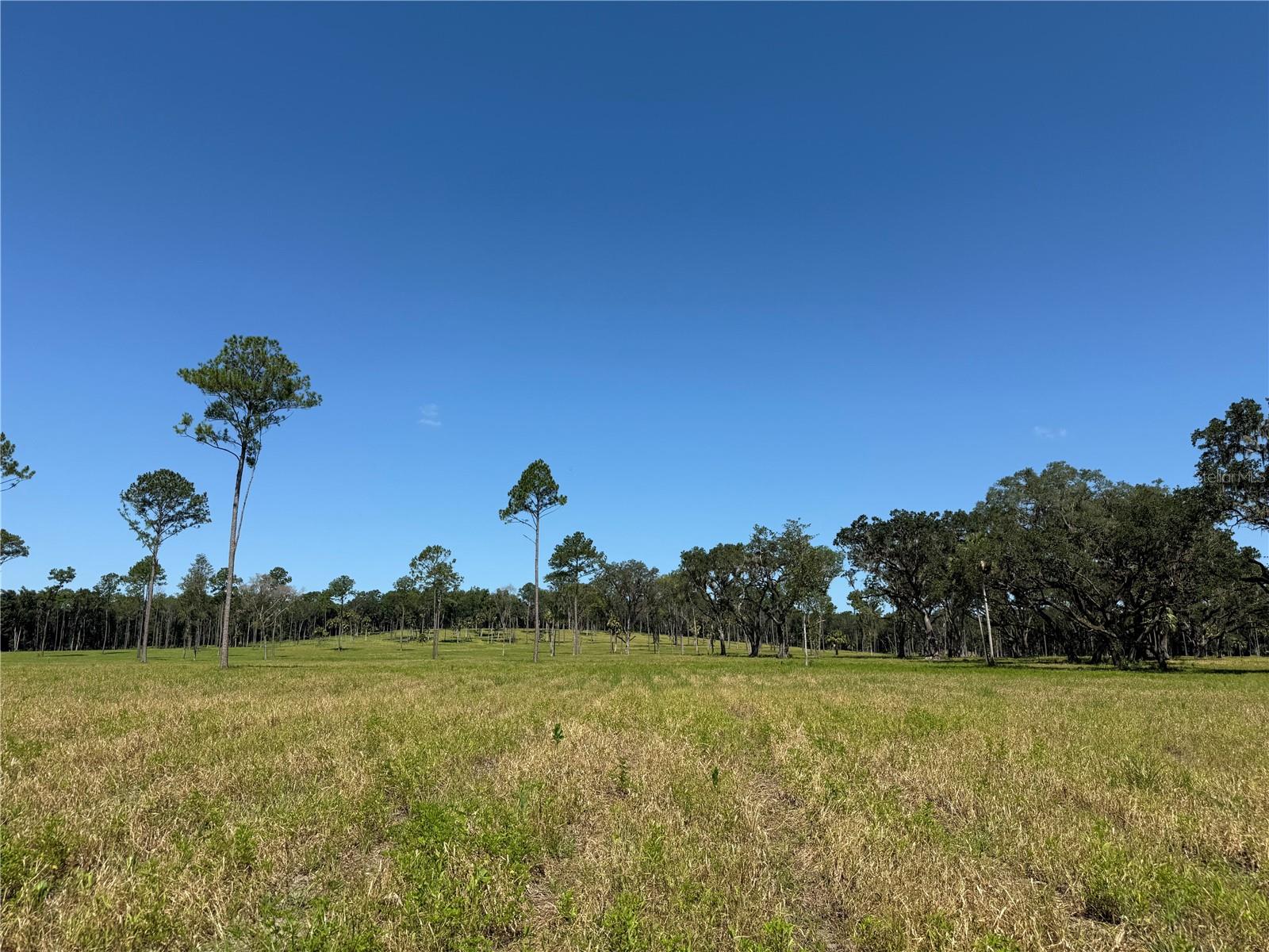 Dr #5 (24ac) 193rd St, FL