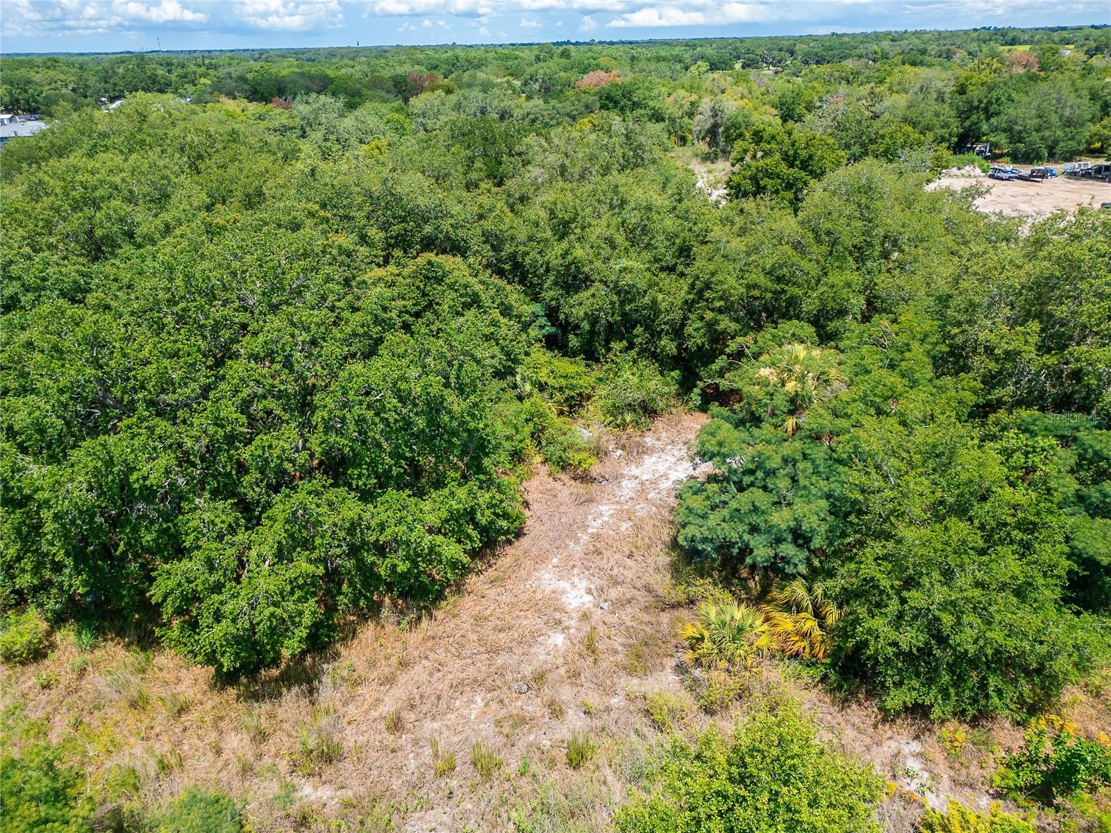 Turkey Creek Road, FL