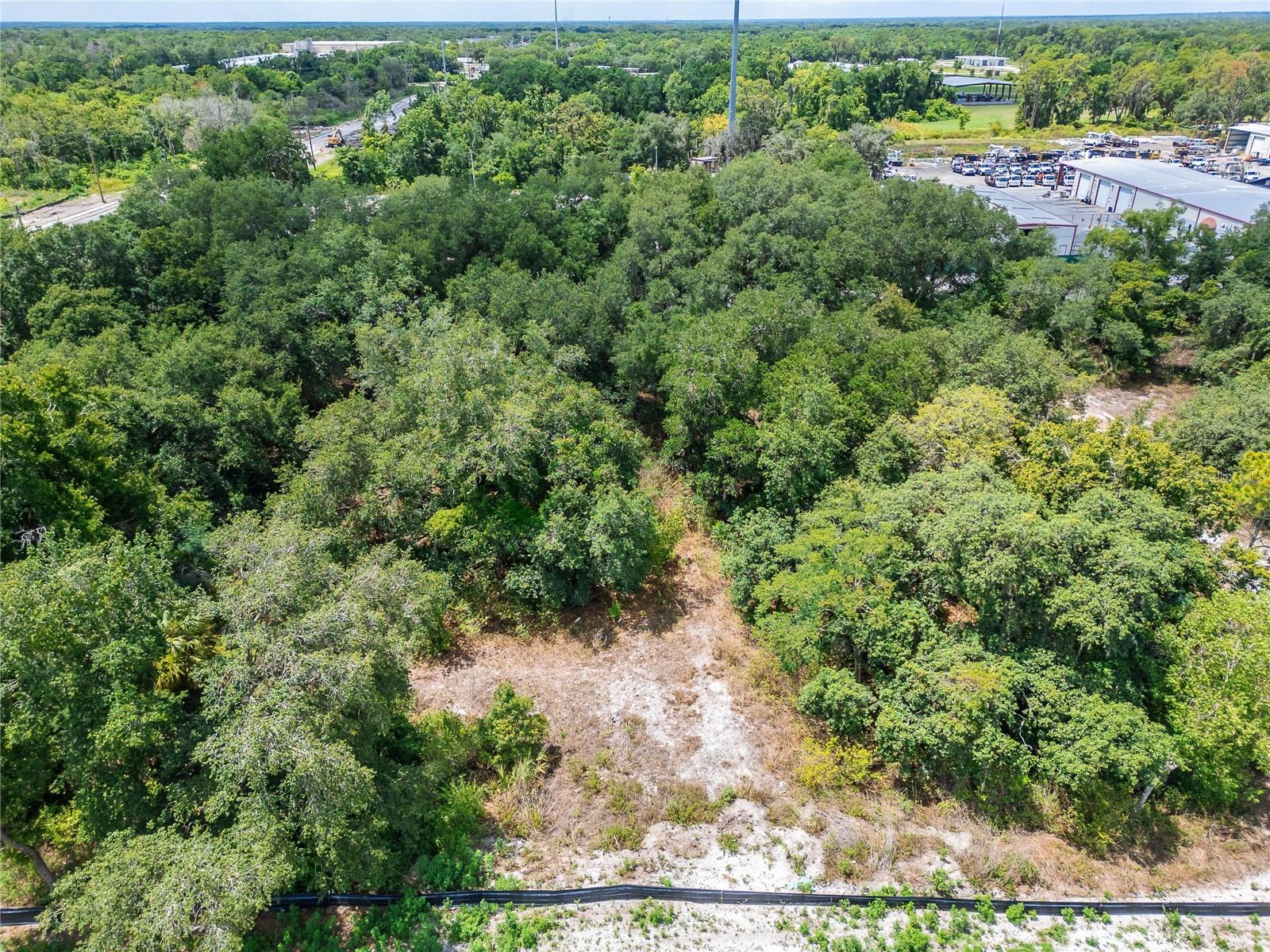 Turkey Creek Road, FL