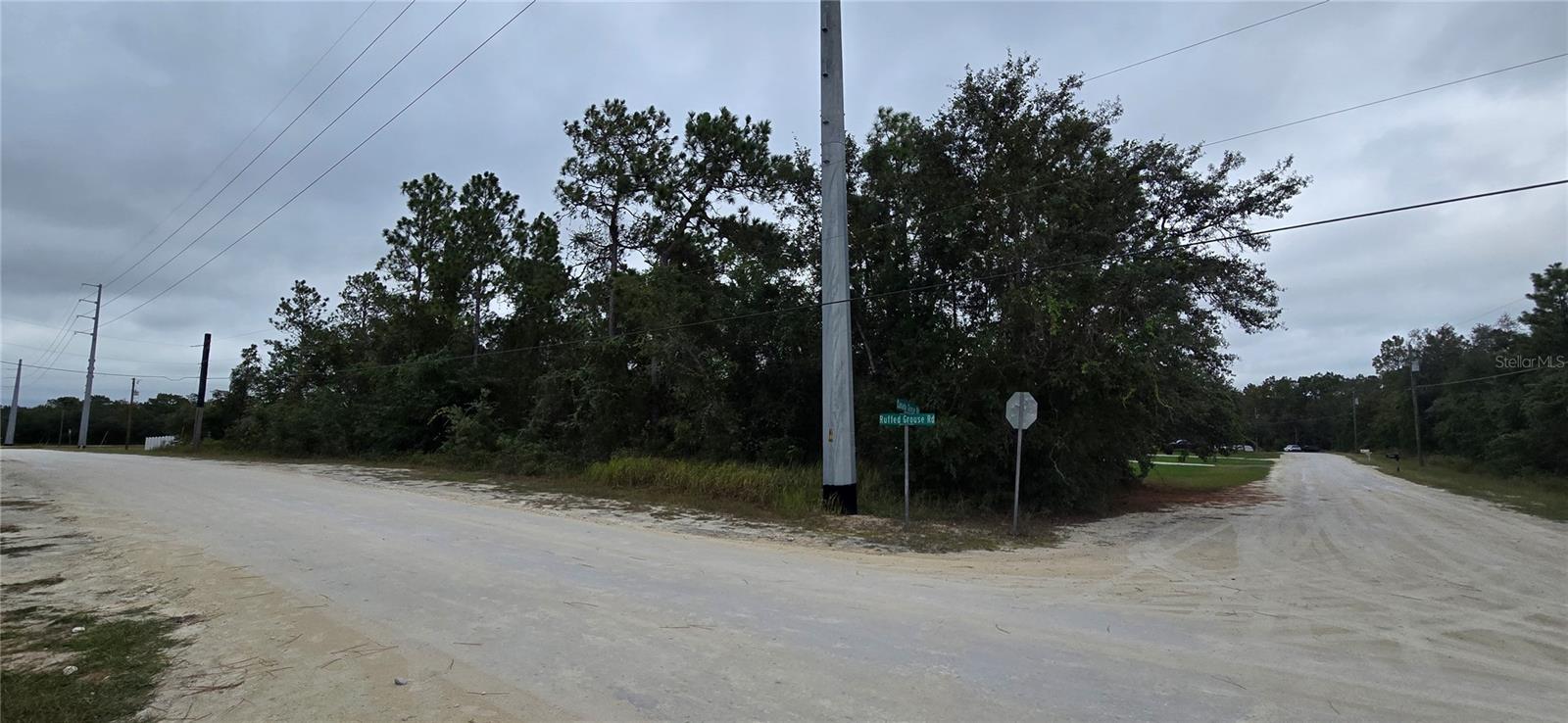 13476 Canada Goose Road, FL