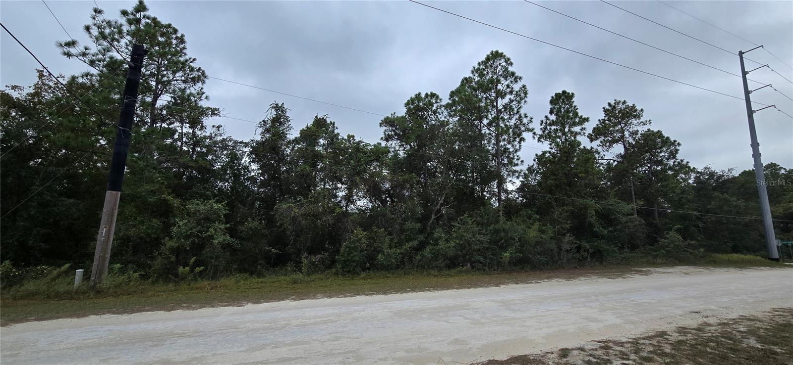 13476 Canada Goose Road, FL