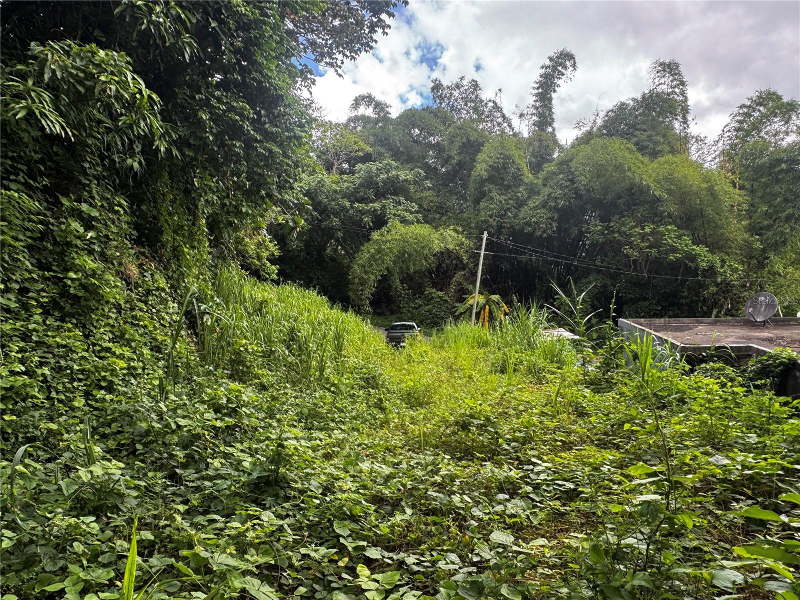 Bo Masa De Gurabo Carr 181 Km 13 Hm 2, PR