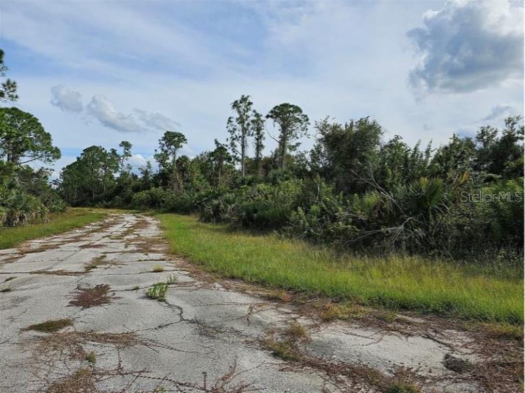 Lot 1 Hinshaw Avenue, FL