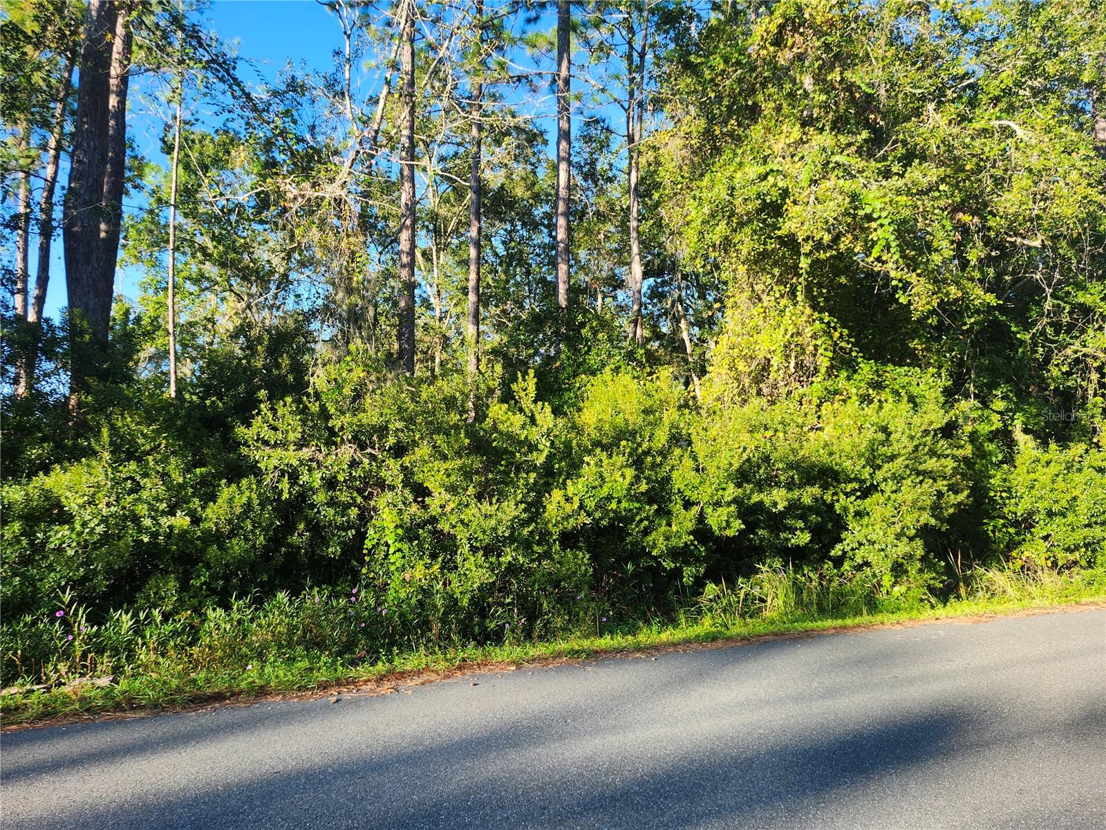 Tbd Redwood Track Course, FL