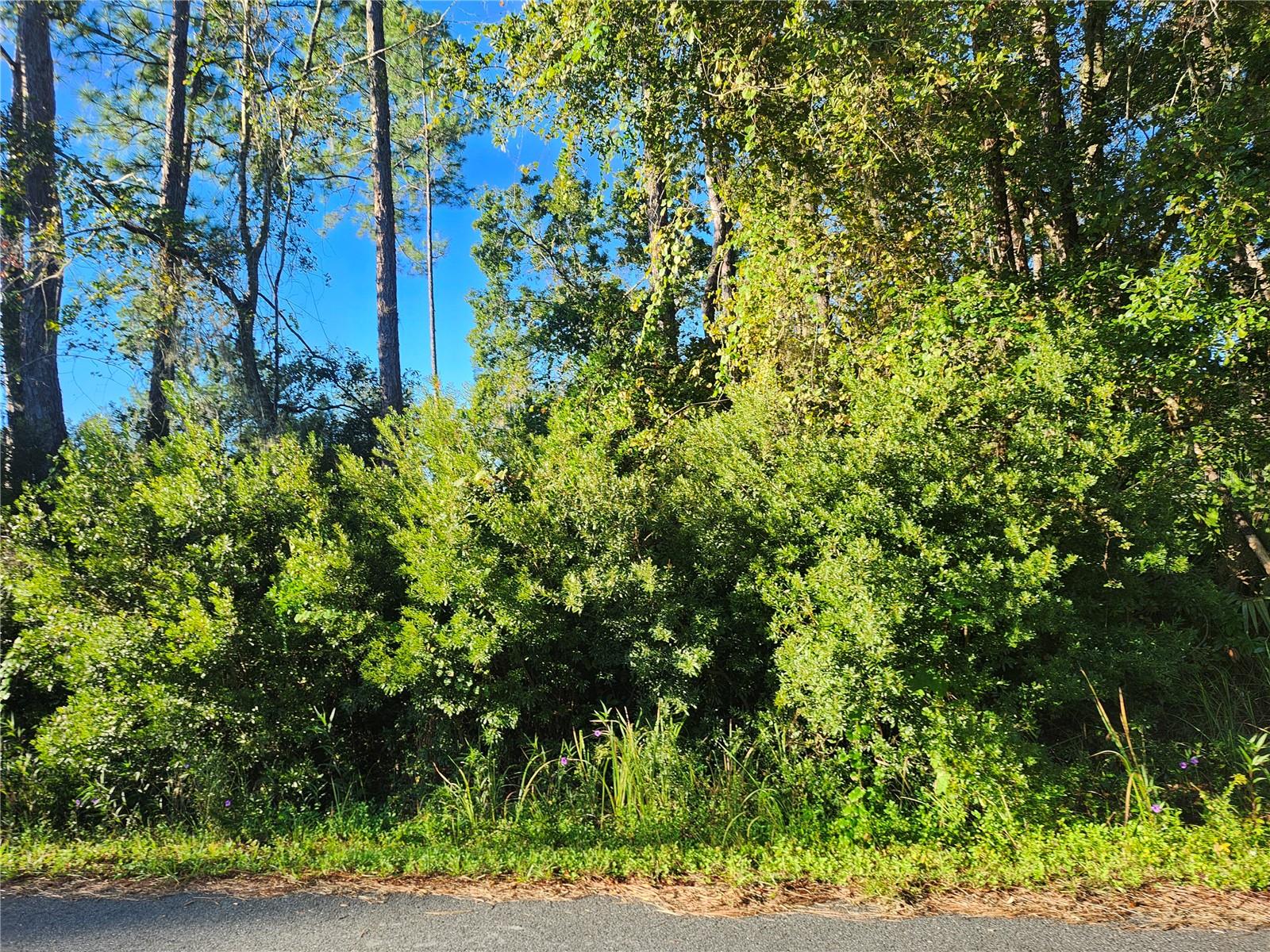 Tbd Redwood Track Course, FL