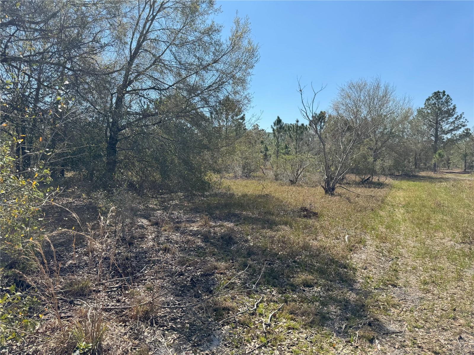 0 Lake Buffum Road, FL
