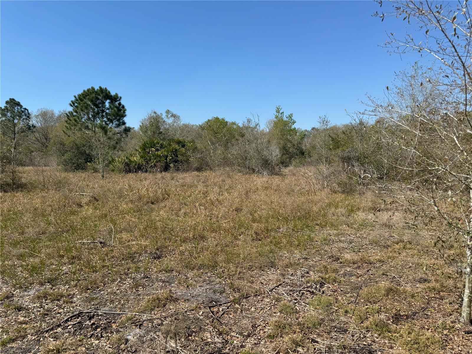 0 Lake Buffum Road, FL