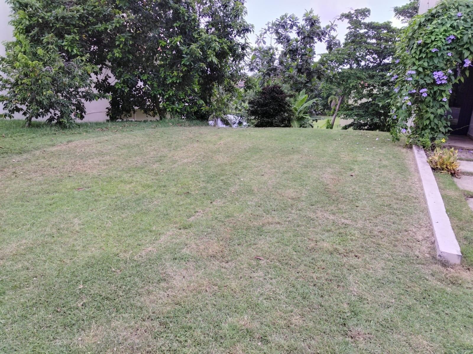 145 Montecarlo, PR
