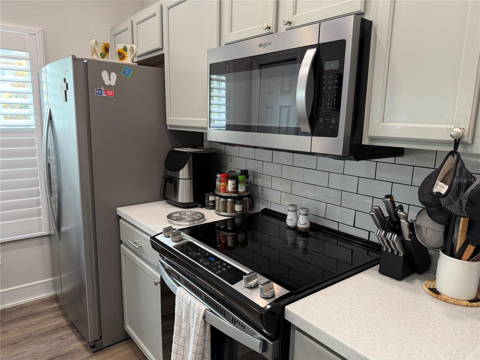 20705 Mountain Whistler Avenue, FL