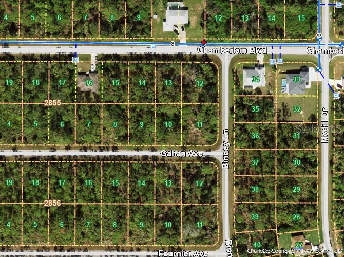 12023 Chamberlain Boulevard, FL