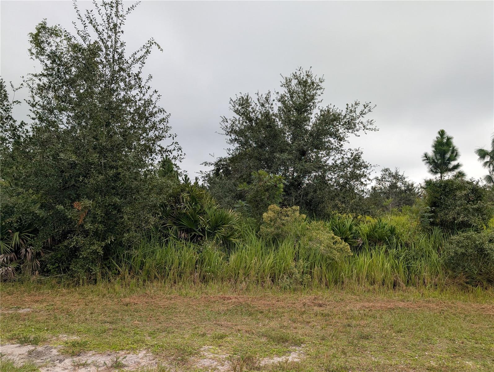 6931 Orlando Drive, FL