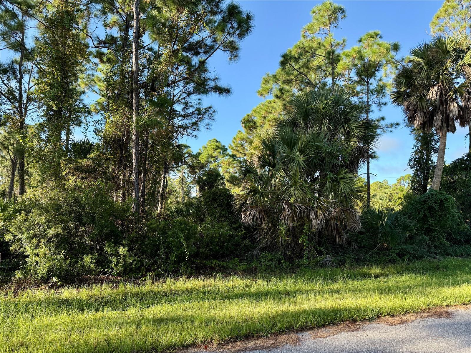 26350 Eager Road, FL