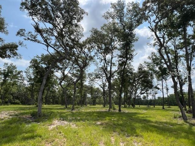Tbd 14th St Lot 5&6, FL