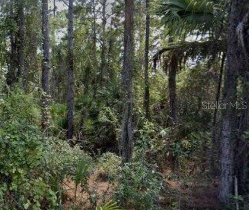 188 Tudor Road, FL