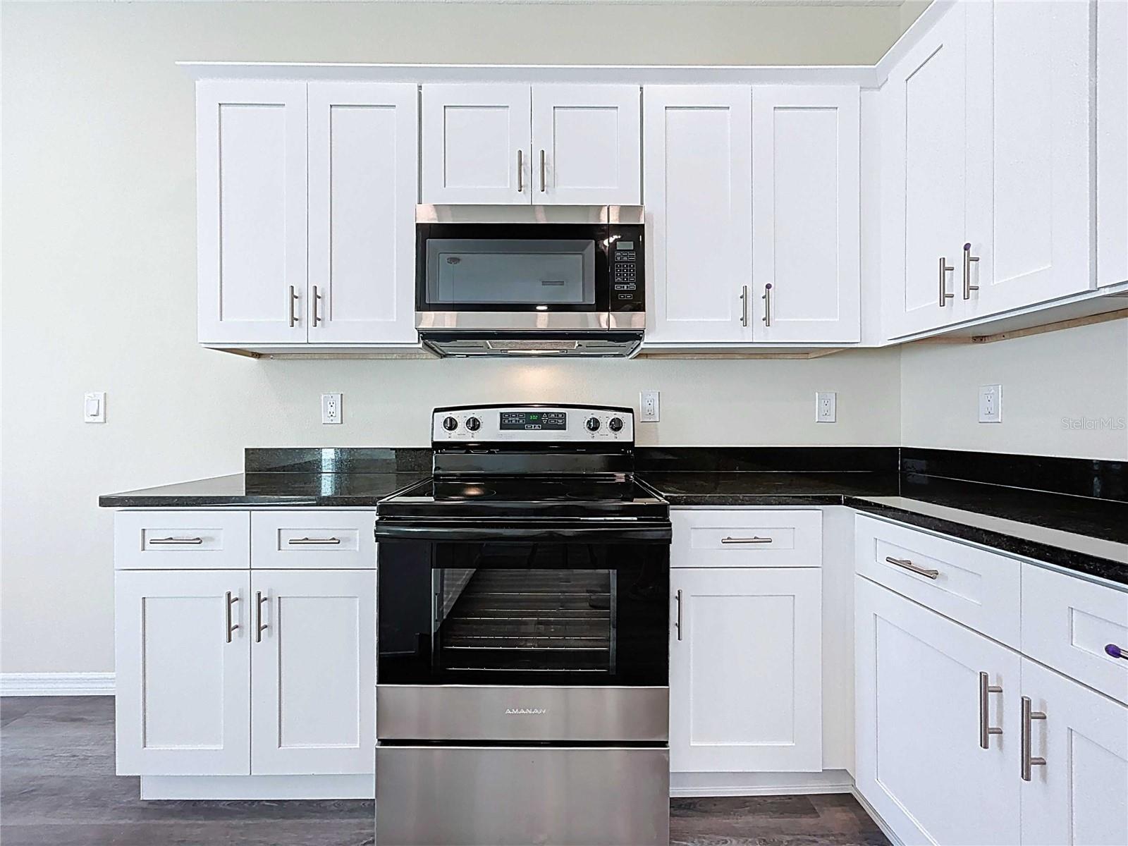 4366 Cambio Gardens Court, FL