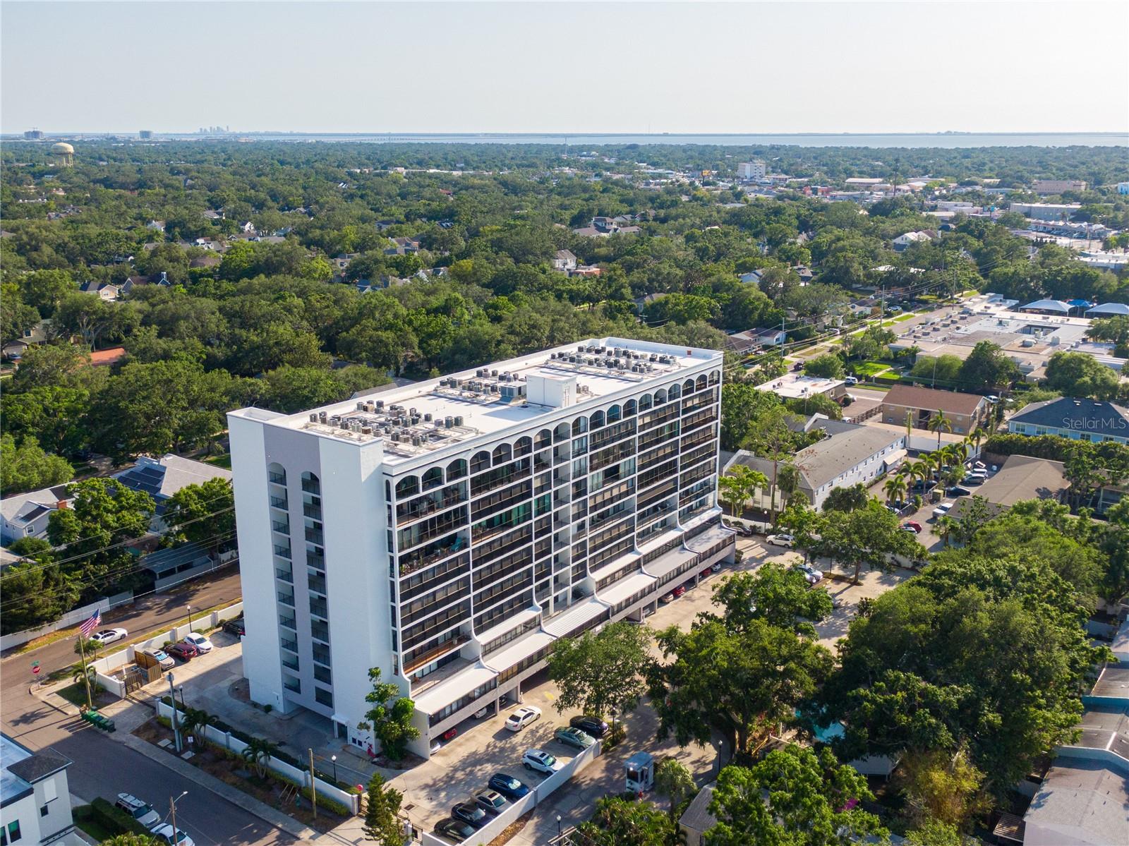3211 Swann Avenue, FL