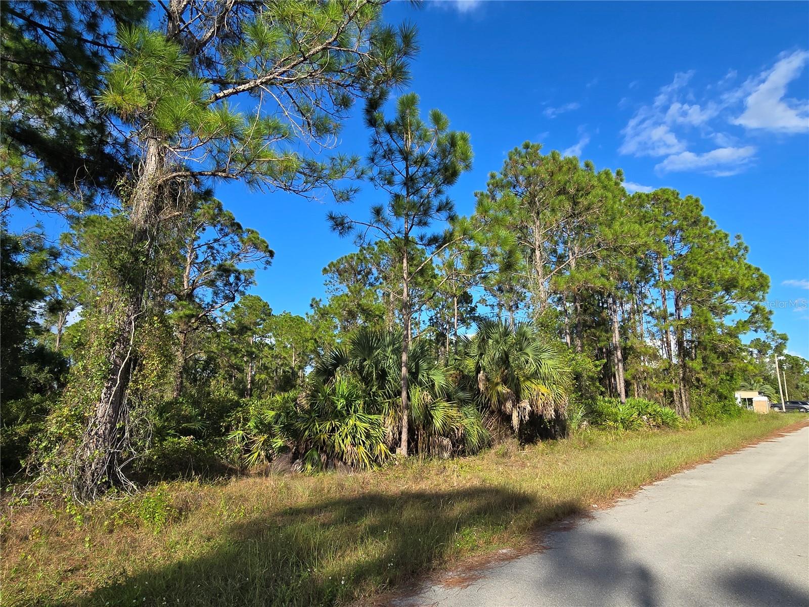 1137 Rambler Street, FL