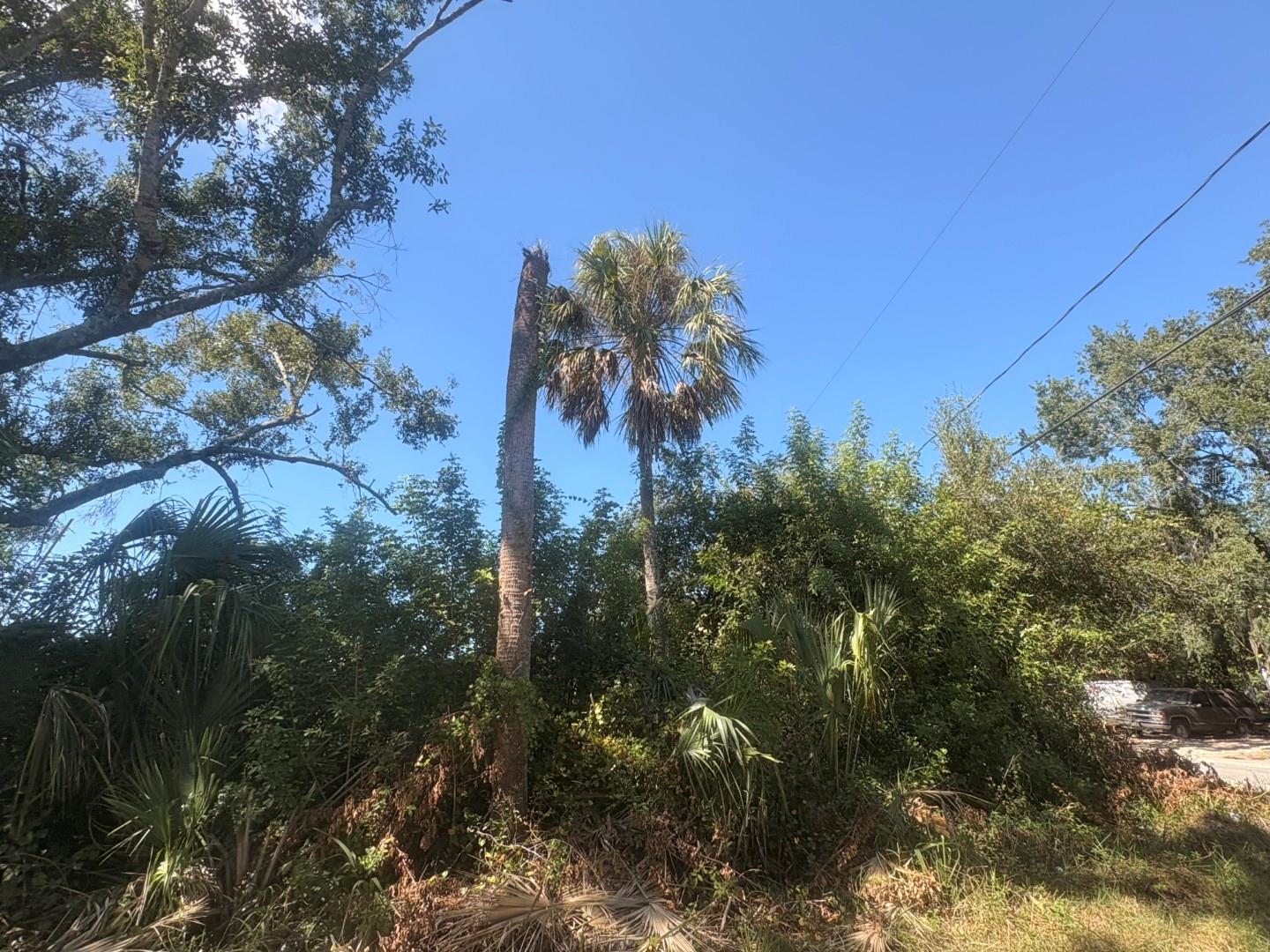 2601 Goldwyn Drive, FL
