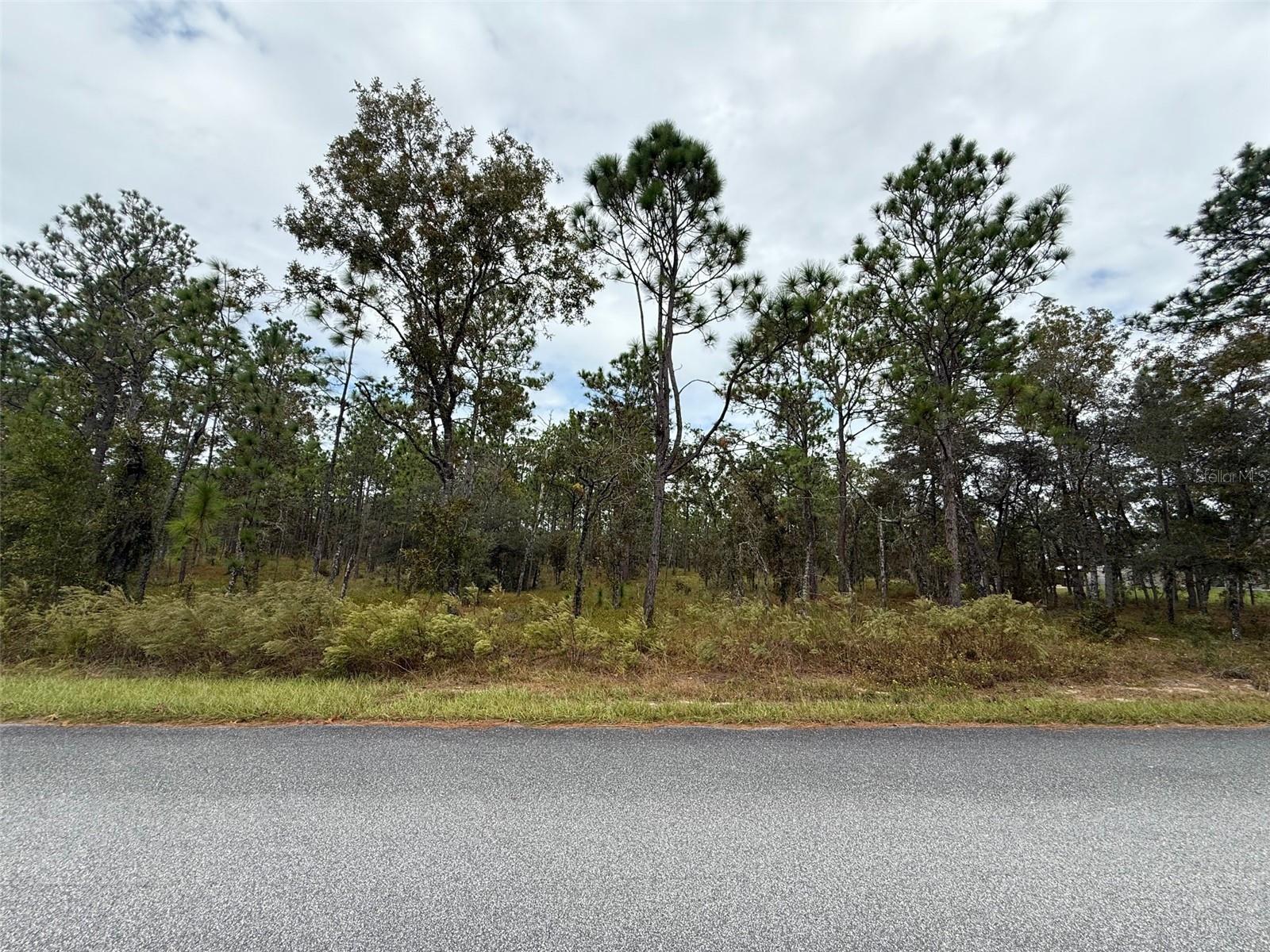 Nw Amberjack Avenue, FL