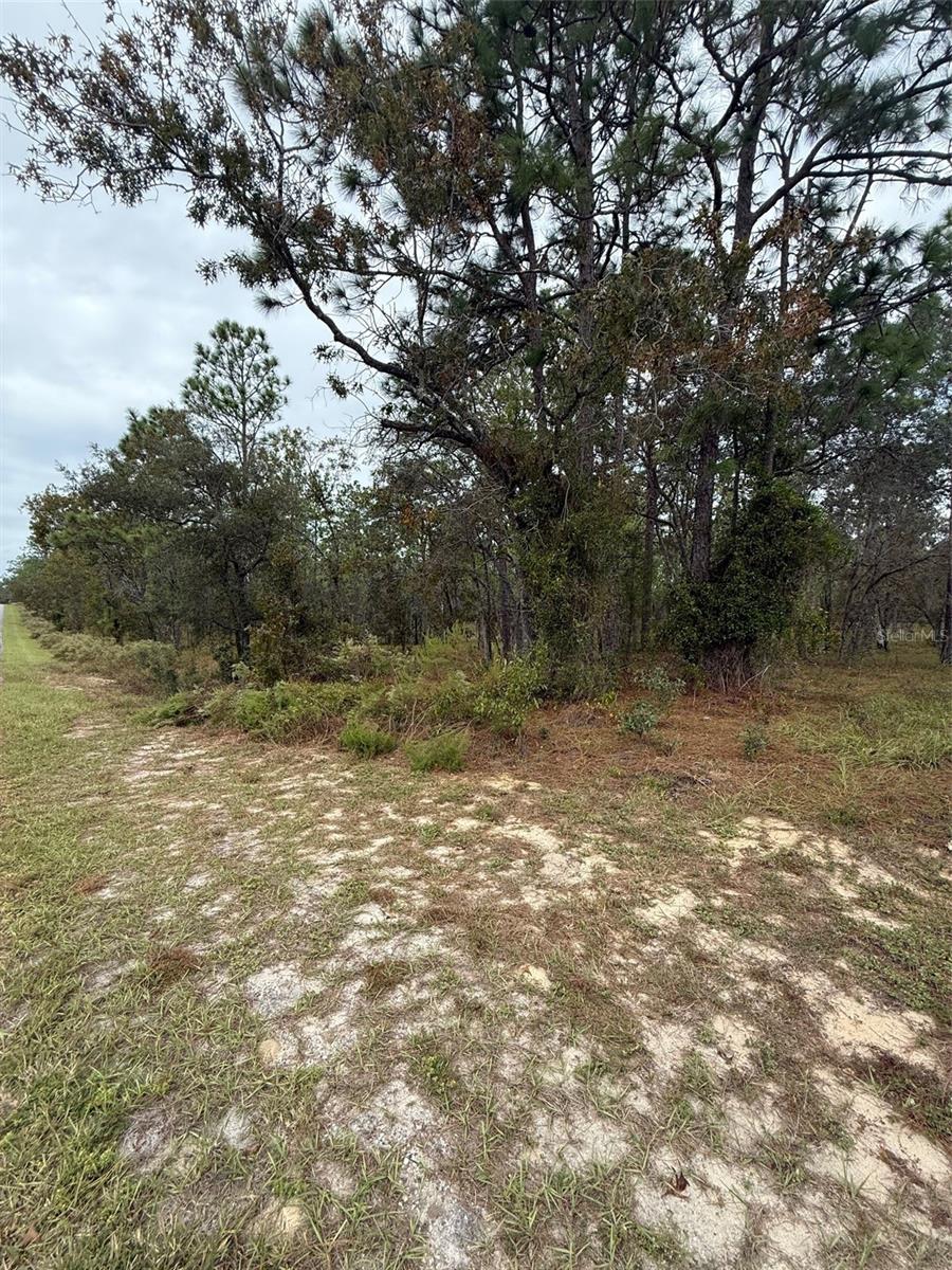 Nw Amberjack Avenue, FL