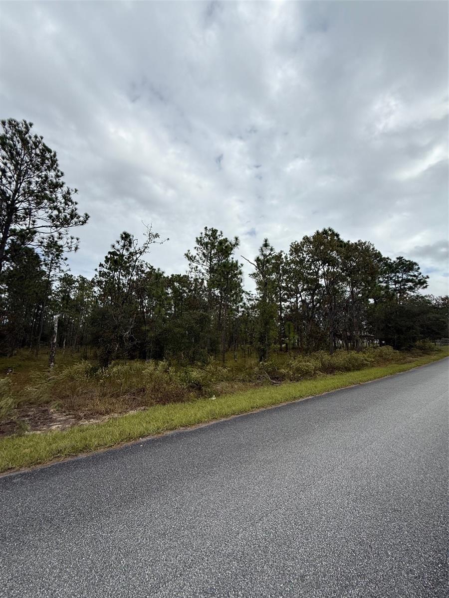 Nw Amberjack Avenue, FL