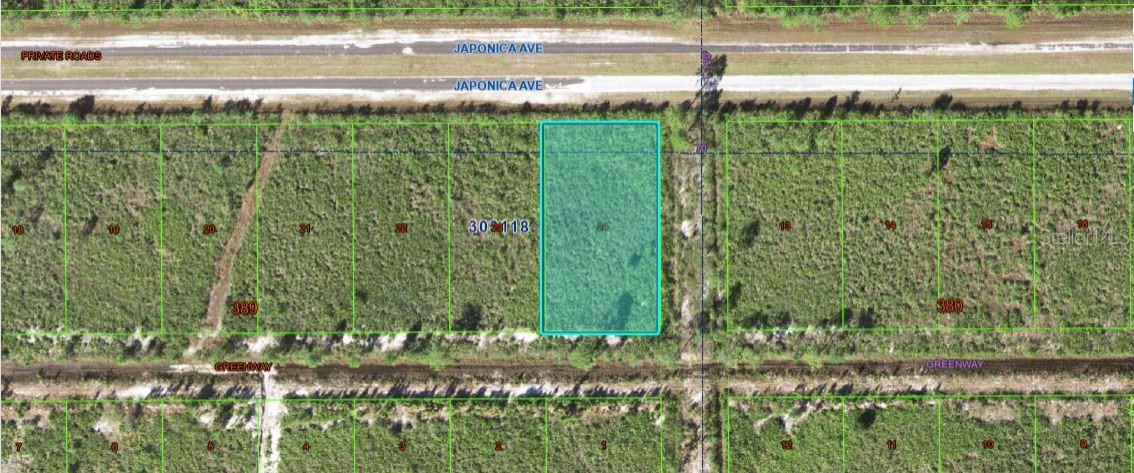 501 Japonica Avenue, FL