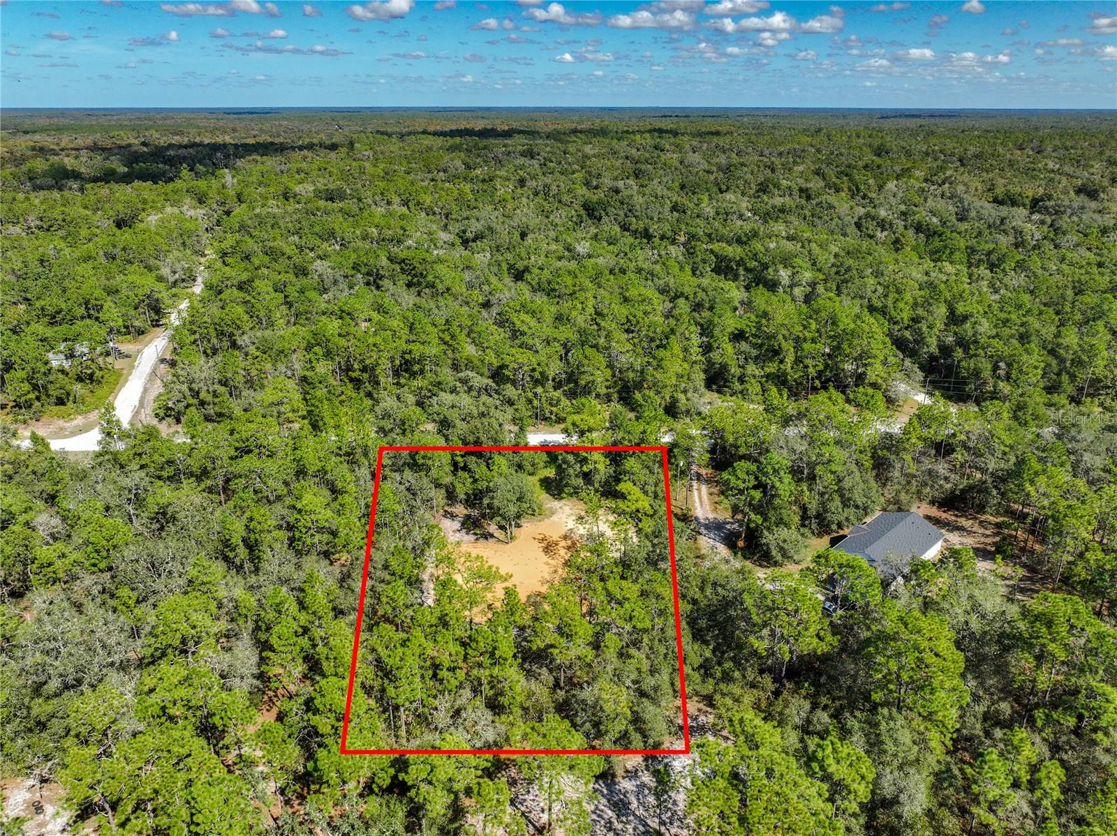 33216 Teakwood Drive, FL