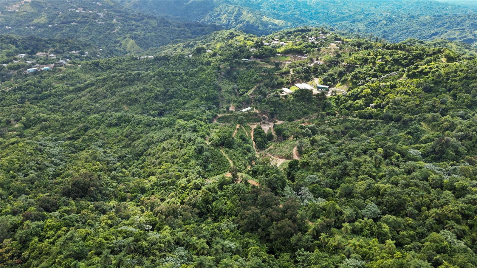 Bo. Hoyos Planes Carr. 531 Km  Hm7, PR