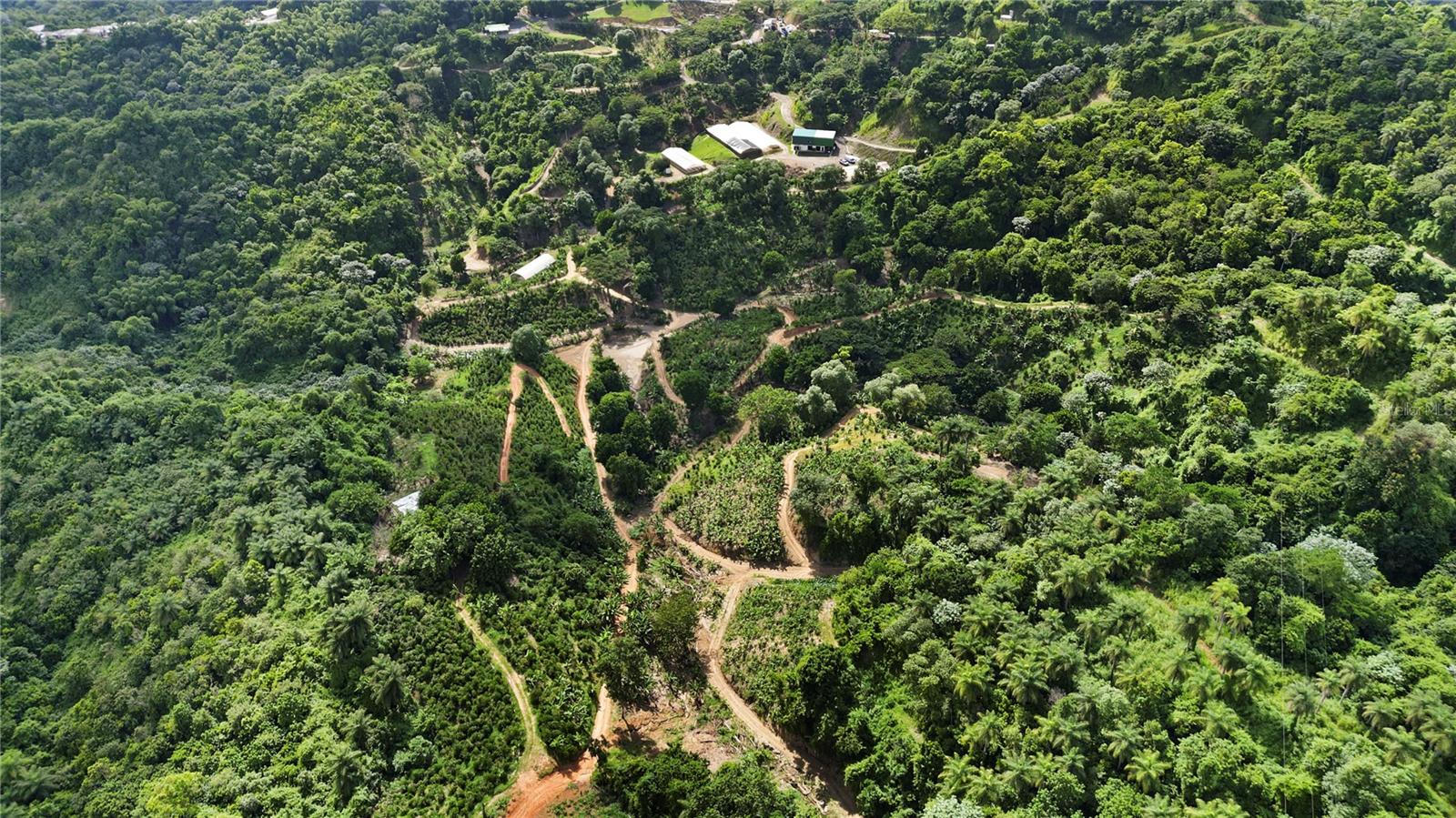 Bo. Hoyos Planes Carr. 531 Km  Hm7, PR