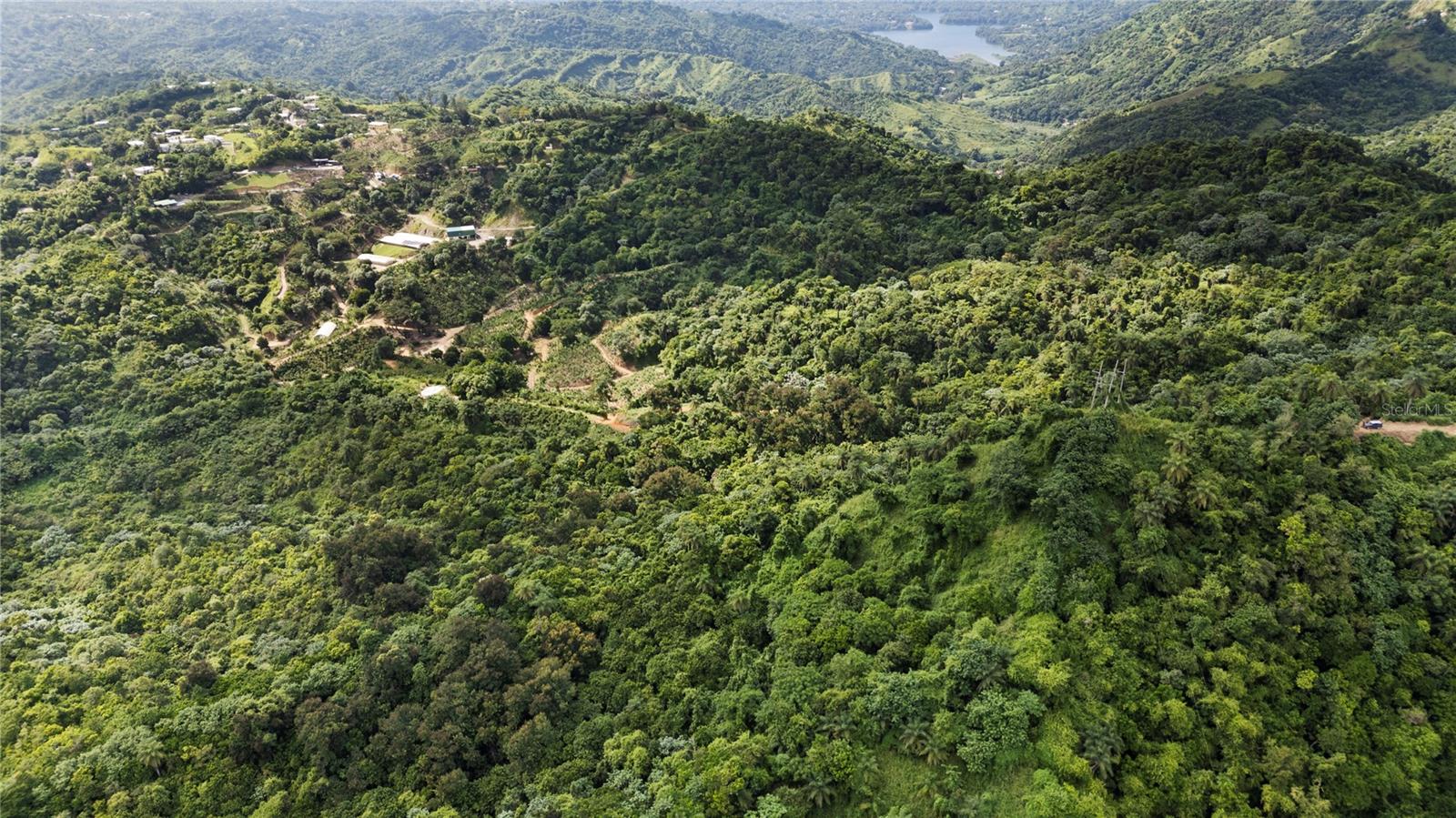 Bo. Hoyos Planes Carr. 531 Km  Hm7, PR