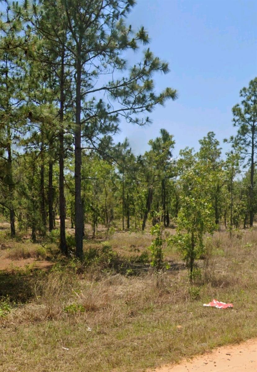 Lot 14 15 16 And 17 Idaho Avenue, FL