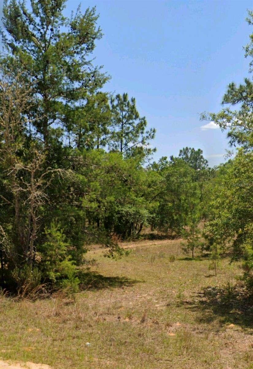 Lot 14 15 16 And 17 Idaho Avenue, FL