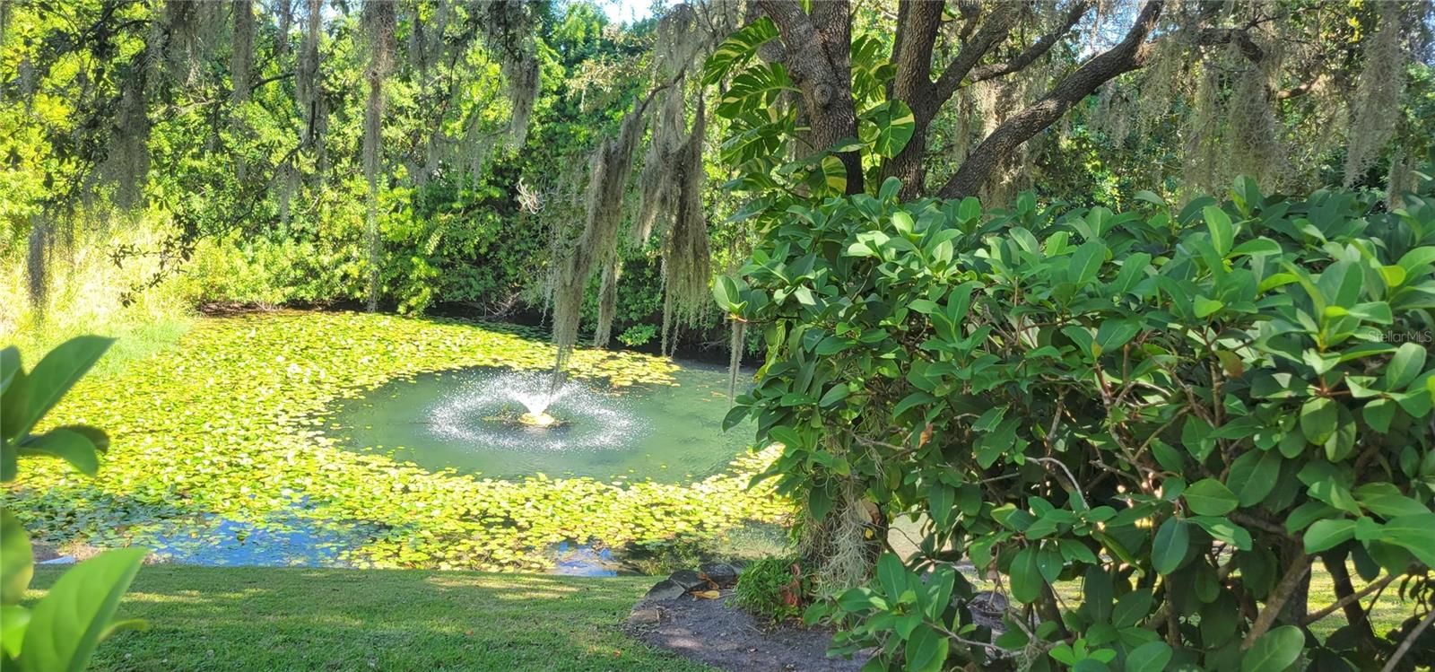 1004 Old Mill Pond Road, FL