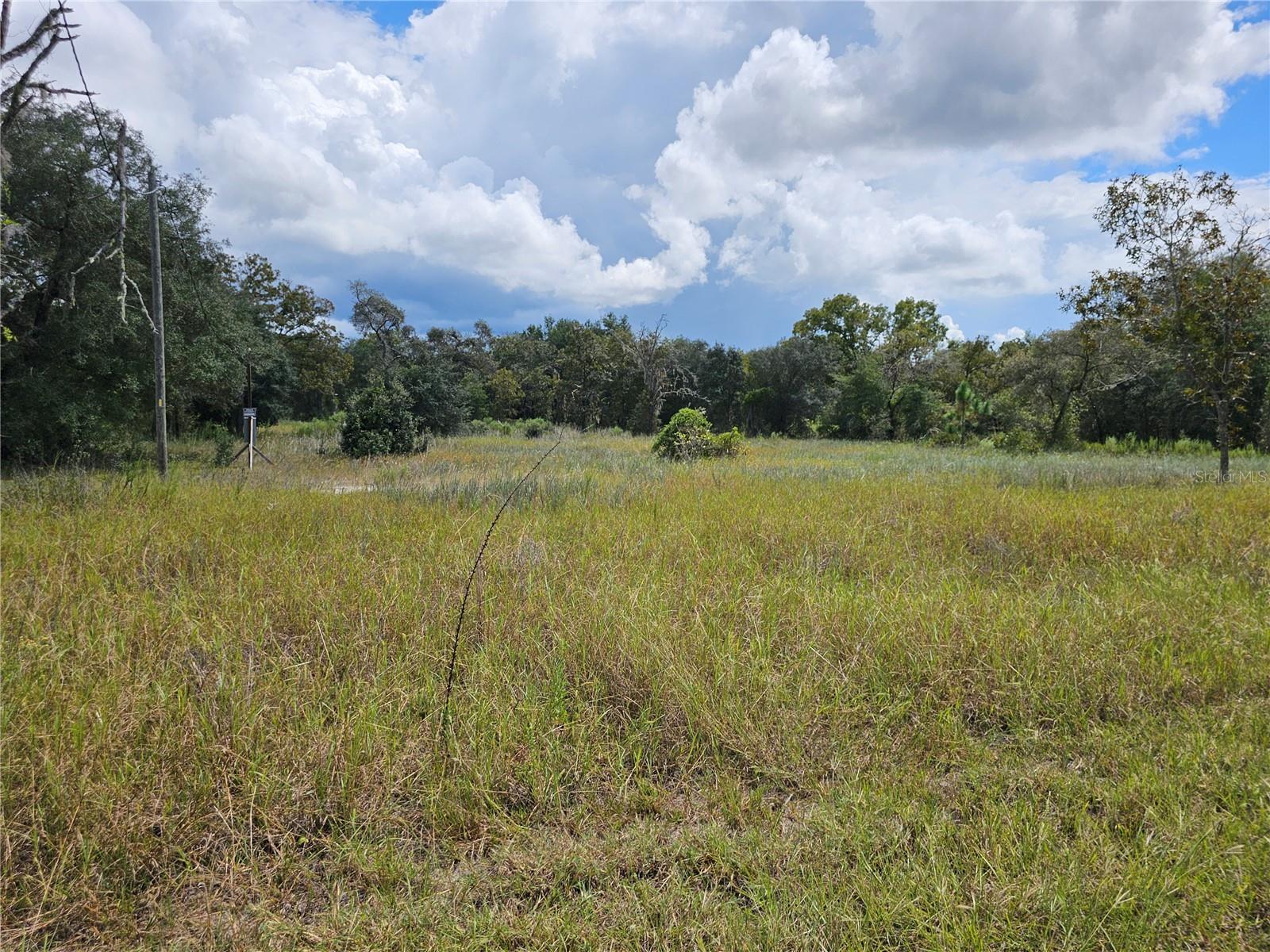 4929 Portulaca Court, FL