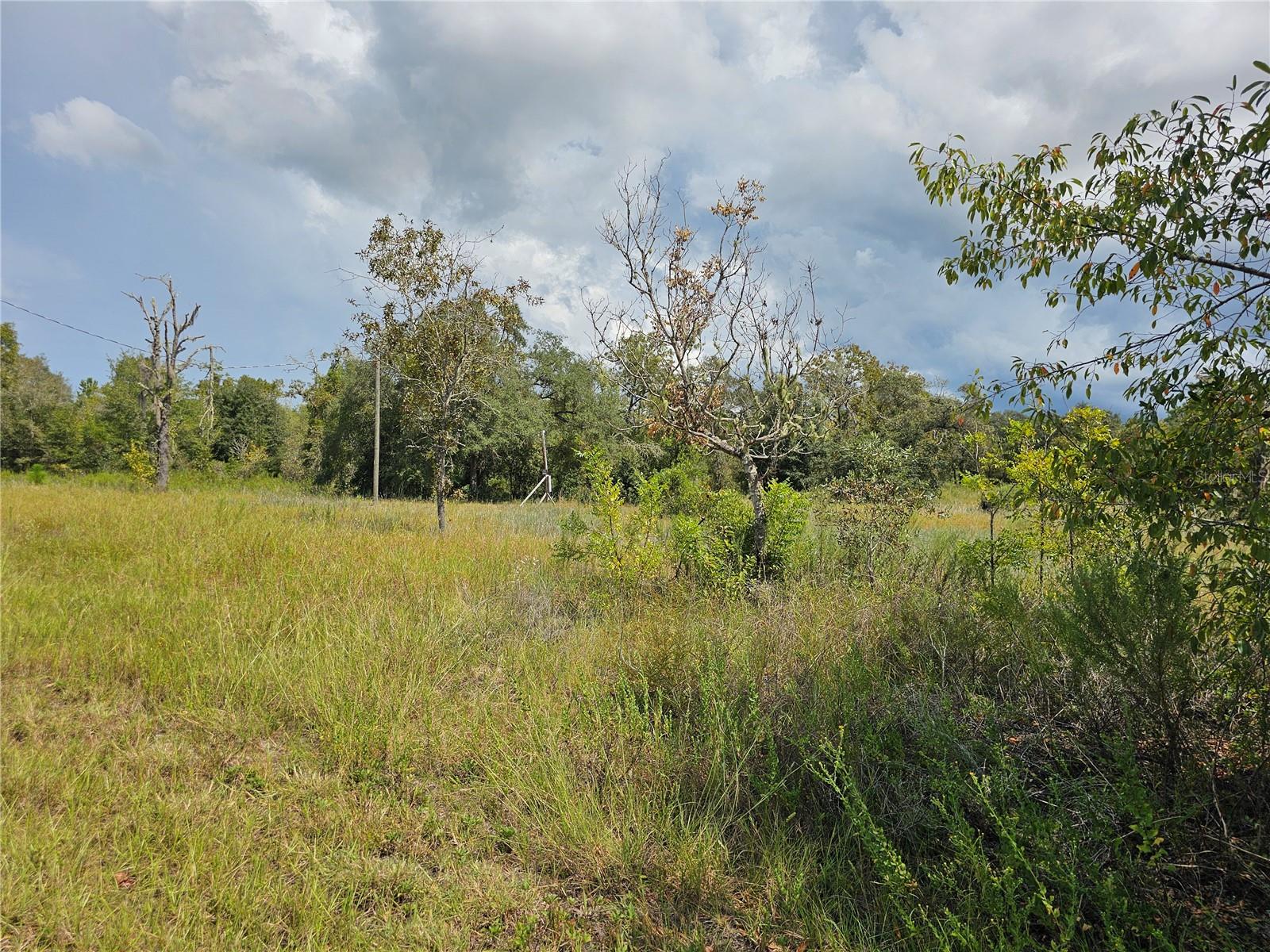 4929 Portulaca Court, FL