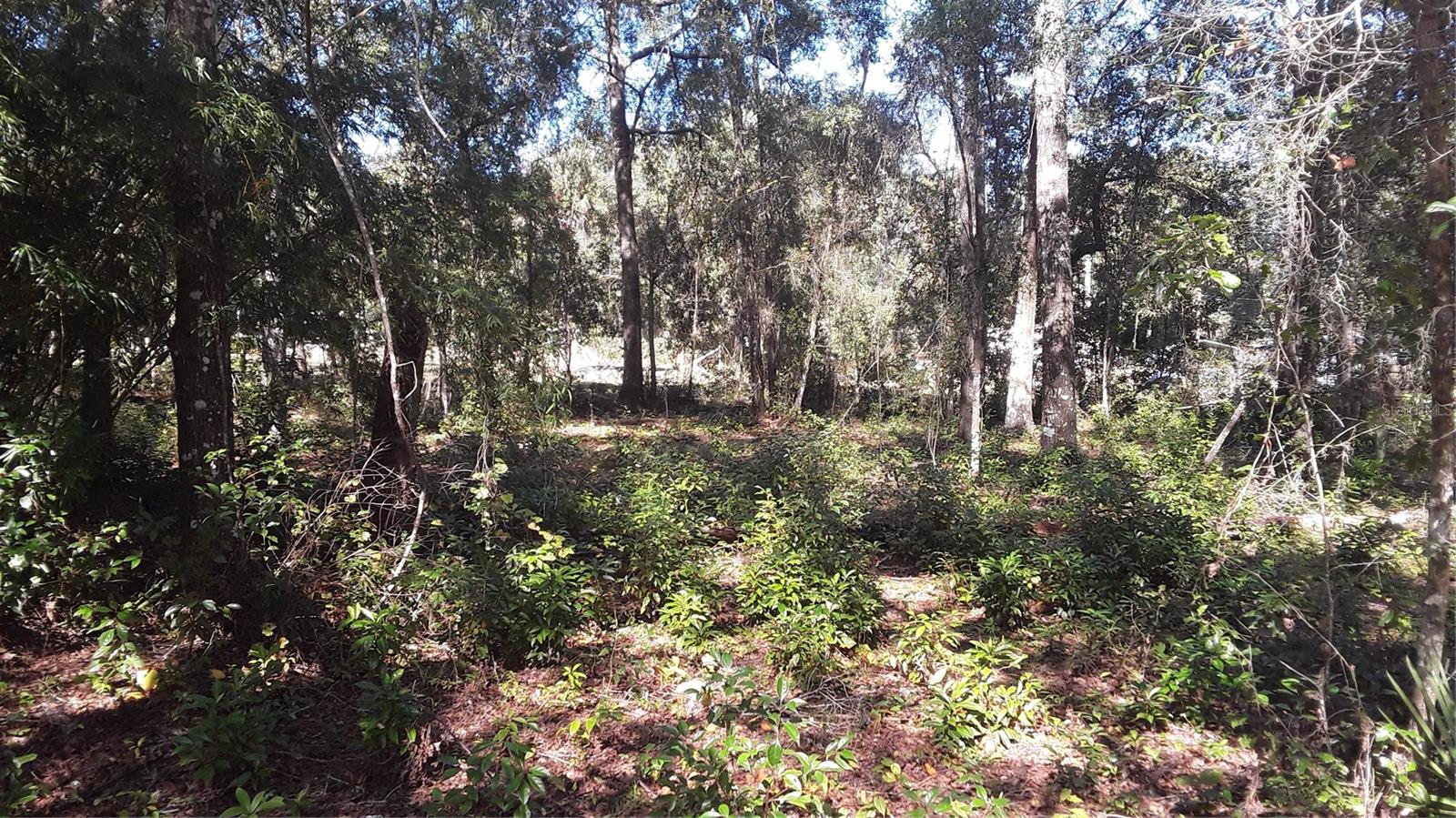 Lot 33 Neptune Boulevard, FL