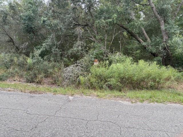 OCKLAWAHA, FL