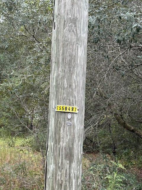 OCKLAWAHA, FL