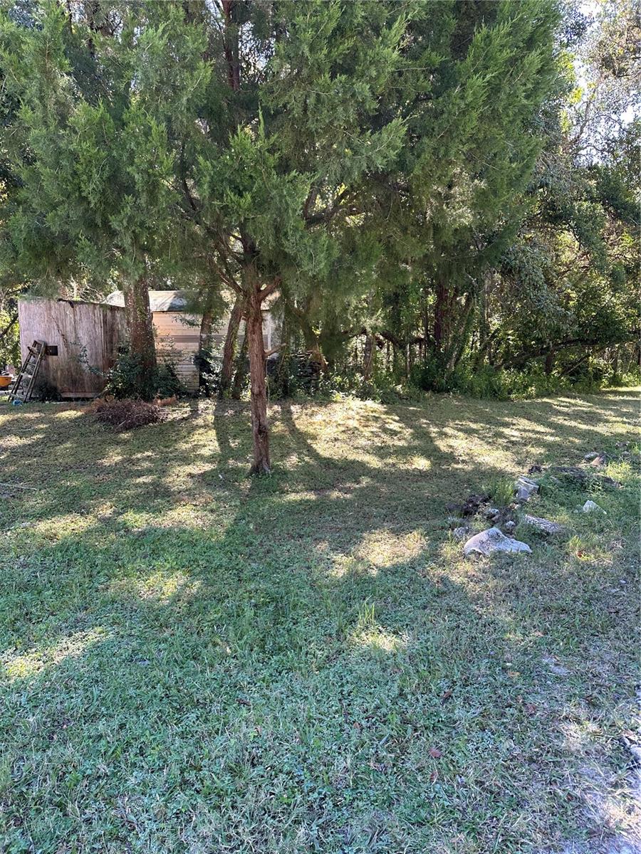 Ocasta Avenue, FL