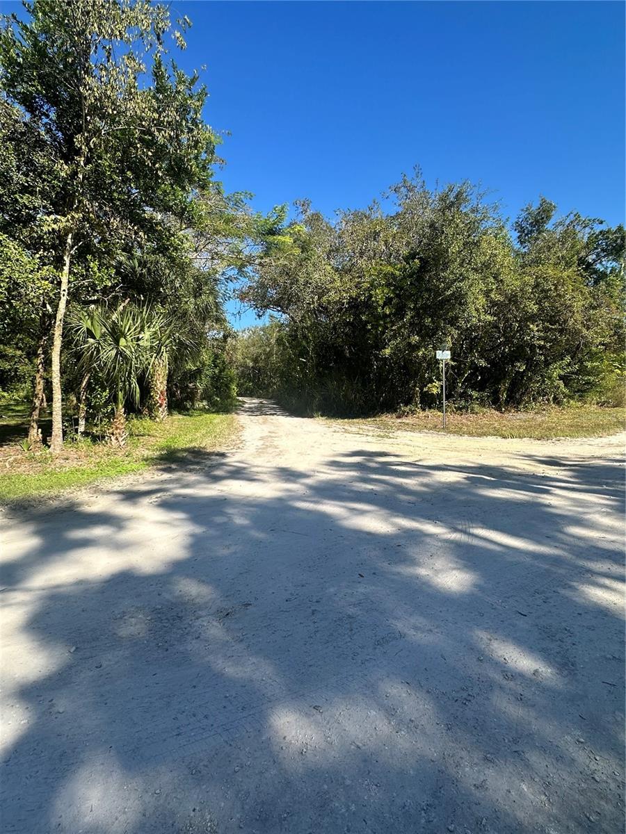 Ocasta Avenue, FL