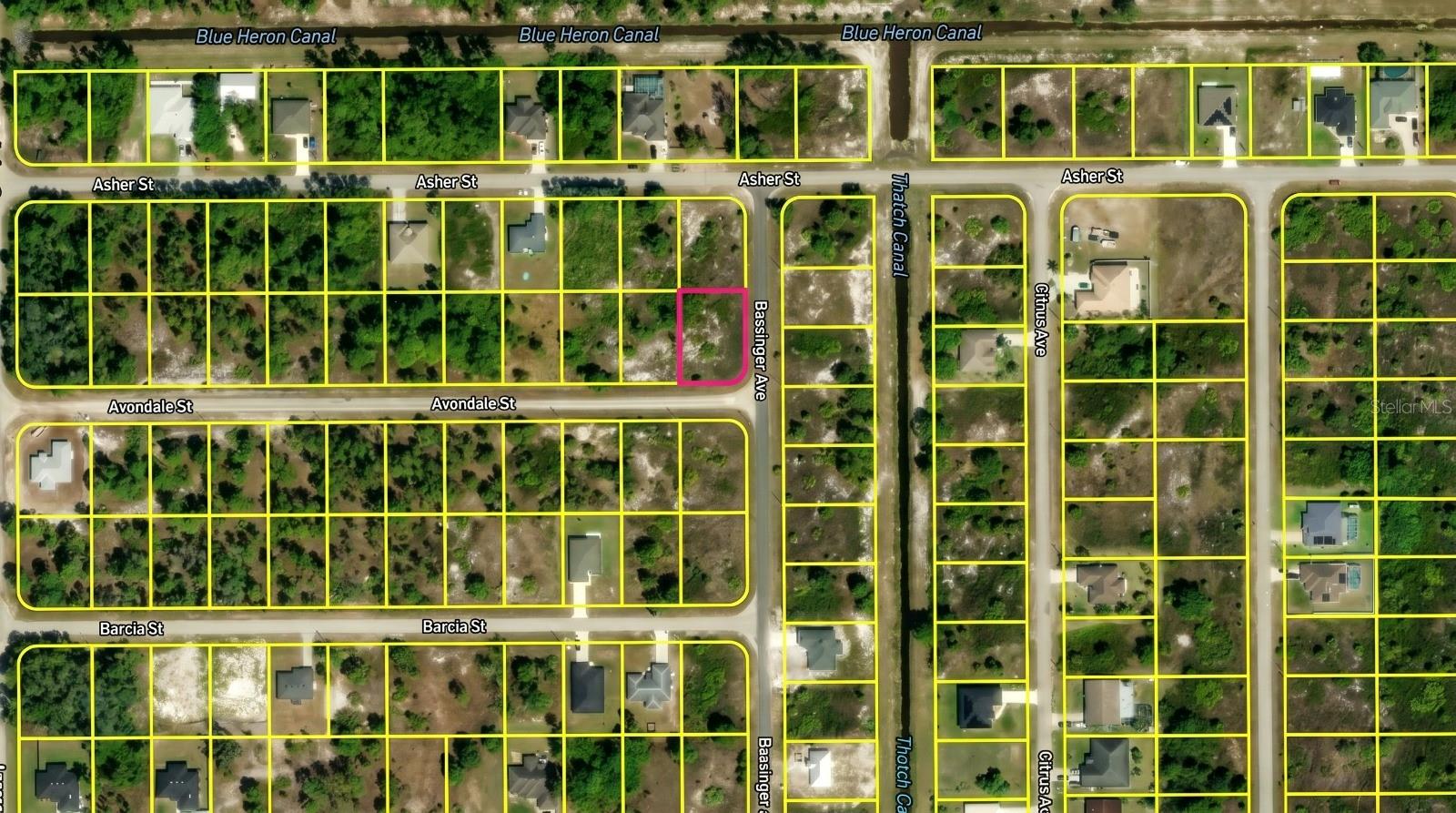 745 Avondale Street, FL